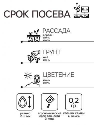 Семена цветов Нивяник 