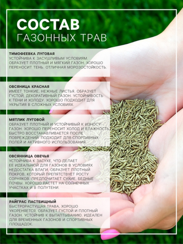 Газонная травосмесь 