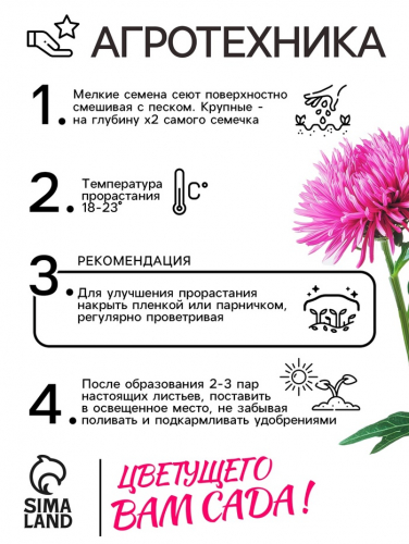 Семена   Астра Коготковая, смесь окрасок , 0,2г