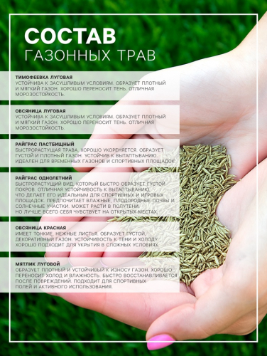 Газонная травосмесь, газон «Универсальный» 5 кг