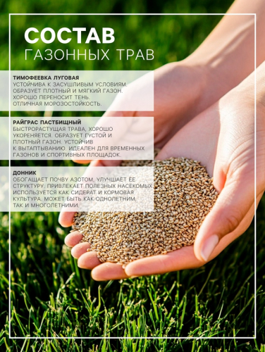 Газонная травосмесь 