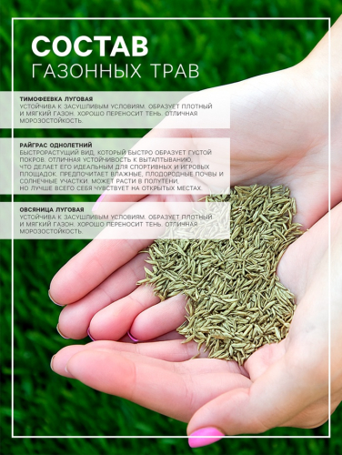 Газонная травосмесь 
