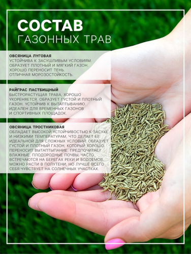Газонная травосмесь 
