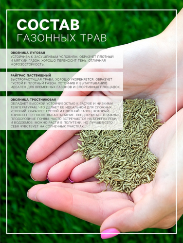 Газонная травосмесь 