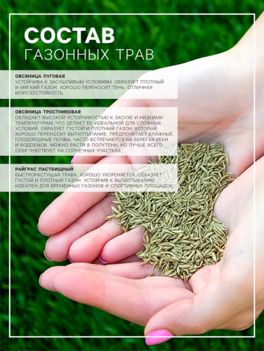 Семена Газонная травосмесь «Сибиряк», 1 кг