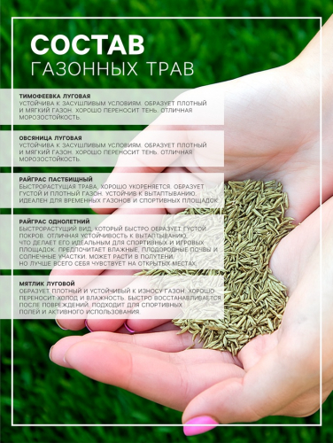 Газонная травосмесь 
