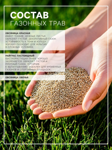 Газонная травосмесь «Теневыносливая», 5 кг
