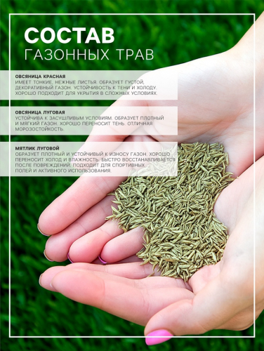 Газонная травосмесь 