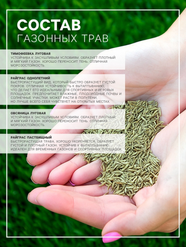 Газонная травосмесь 