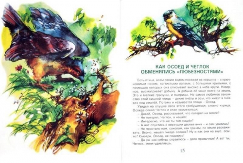Сказки птички-невелички. Кастрючин В А
