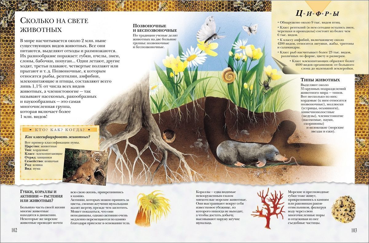 Уценка. Большая книга Почему