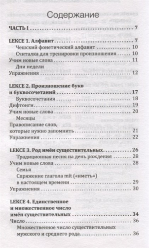 Чешский язык! Большой понятный самоучитель