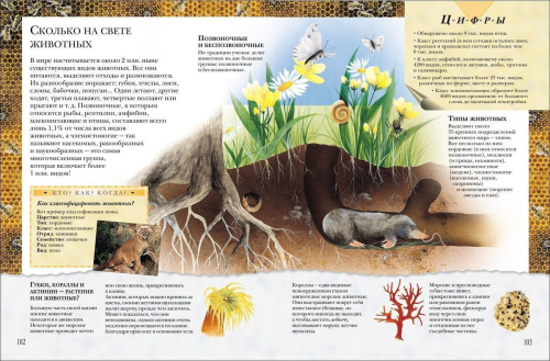 Уценка. Большая книга Почему