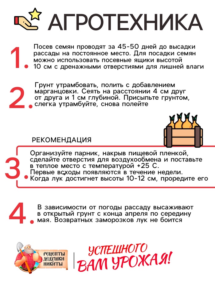 Семена Лук репчатый