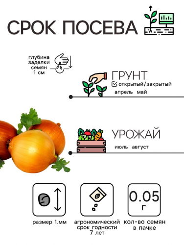 Семена Лук репчатый 