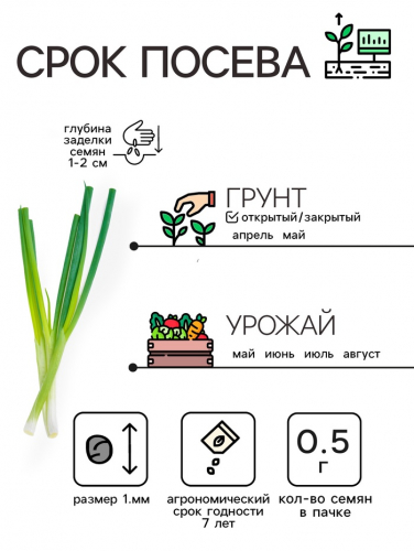 Семена Лук батун 