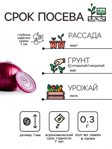 Семена Лук репчатый «Красный», 0.3 г