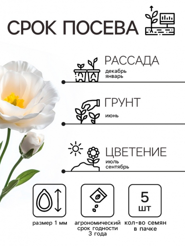 Семена   Эустома 