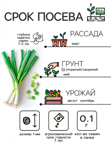 Семена Лук порей 