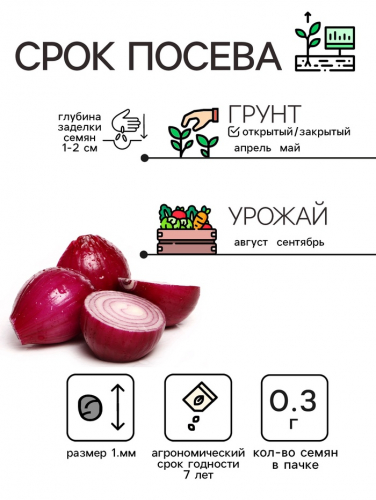 Семена Лук репчатый 