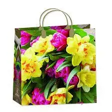 9642 Сумка пластик. BAM 171 (30x30см) средняя Цветы*20