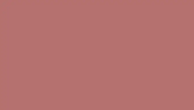 Triumpf CTBL-01A Румяна Perfect Powder Rouge №14 корица (уп-6шт)