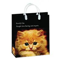 Антелла Пакет-Сумка 26*23*10см (0167-53BAS) (S) Котёнок. Пластик мяг. 10