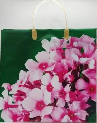 Антелла Пакет-Сумка 30*30*10см 183BAM (M) /0327-183/ Полипропилен
