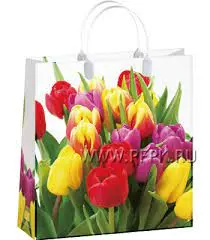 9945 Сумка пластик. BAL 159 (32х42х10см) большая Тюльпаны *20