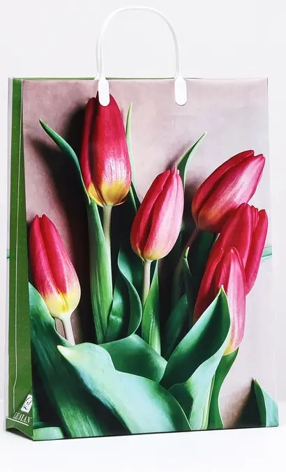 9868 Сумка пластик. BAL 180 (32*42*10см) большая, тюльпаны *20