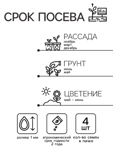 Семена Виола 