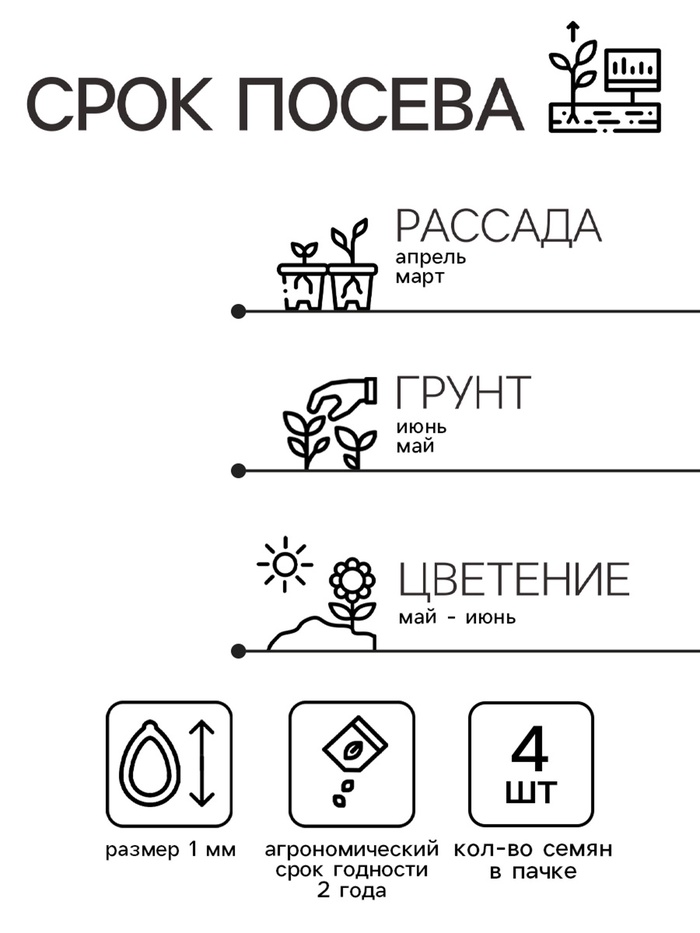 Семена Глоксиния