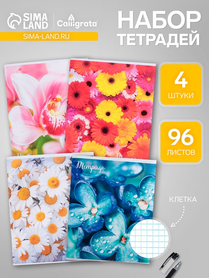 Набор тетрадей, 96 листов в клетку Calligrata