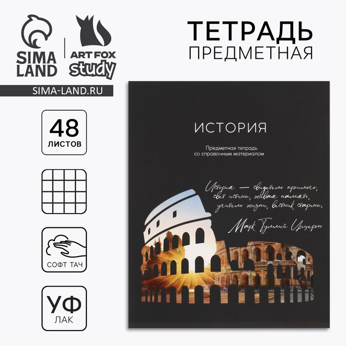 Тетрадь в клетку, предметная, 48 л.,на скрепке, А5 «Силуэт. История»