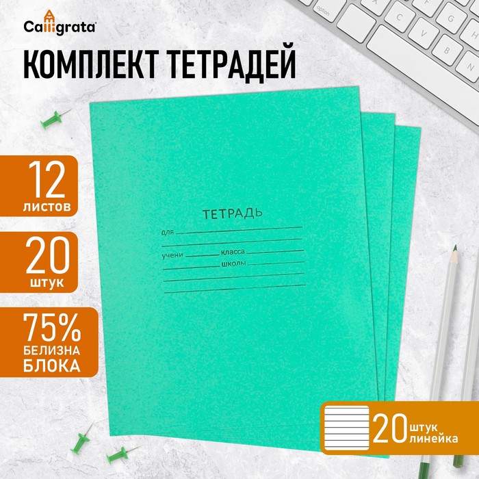 Набор тетрадей 12 листов в линию «Зелёная обложка», серые листы, 20 шт.