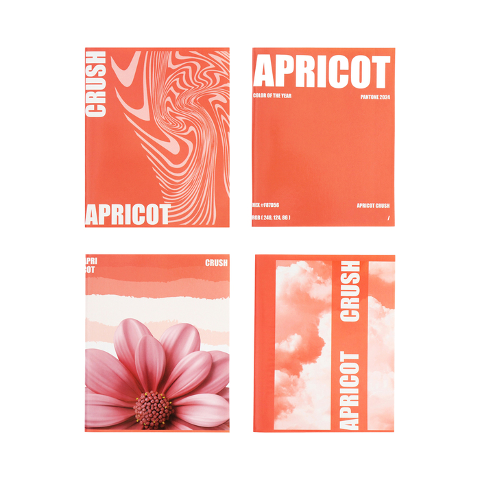 Тетрадь 96 листов в клетку, Calligrata Apricot Crush, МИКС