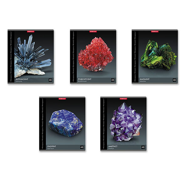 Тетрадь 48л. кл. ErichKrause