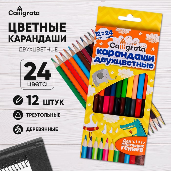 Карандаши Calligrata, цветные, двусторонние, 24 цвета, 12 шт., трёхгранные, деревянные
