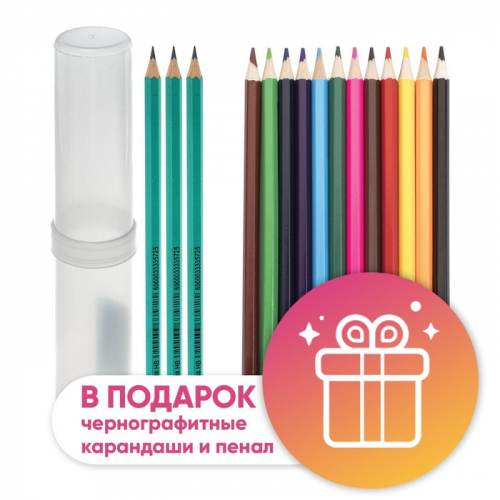 Карандаши Calligrata, цветные, 12 цветов, ЭКОНОМ, шестигранные, пластиковые, пенал-тубус и 3 чернографитных карандаша с ластиком в ПОДАРОК