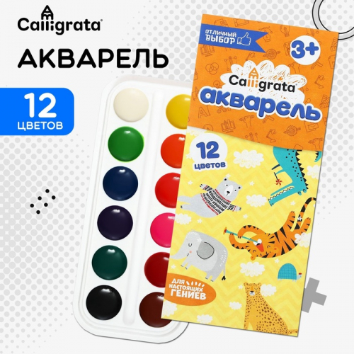Акварель Calligrata, 12 цветов, без кисти, картон, МИКС