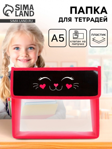 Папка для тетрадей, А5, пластиковая, 23×19×5 см «Мордочка кота»