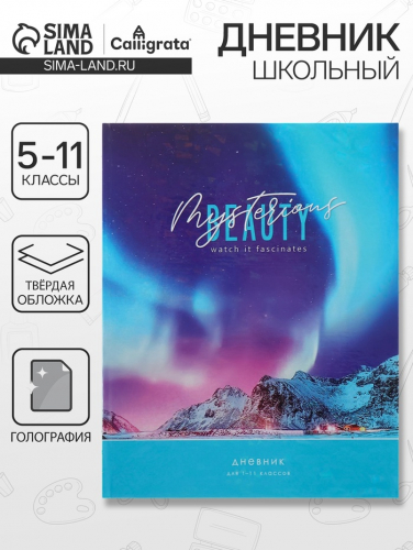 Дневник школьный для 1-11 классов «Северное сияние», твёрдая обложка, голография, 40 листов