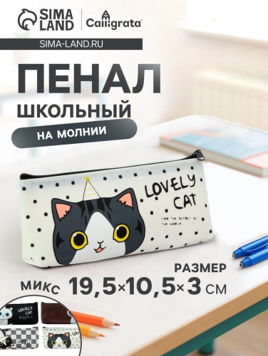 Пенал школьный Calligrata «Котик», на молнии, силиконовый, МИКС