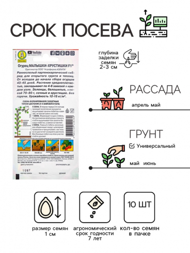 Семена Огурец 