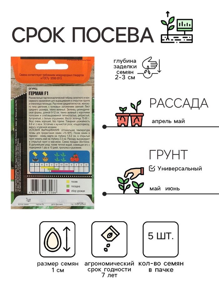 Семена огурца
