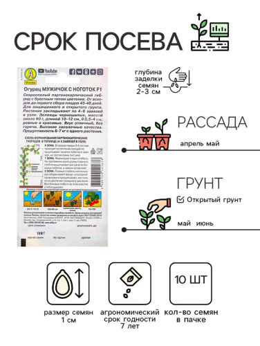 Семена Огурец 
