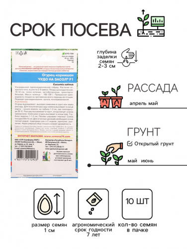 Семена Огурец 
