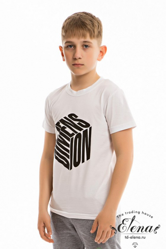 Футболка М223046Па