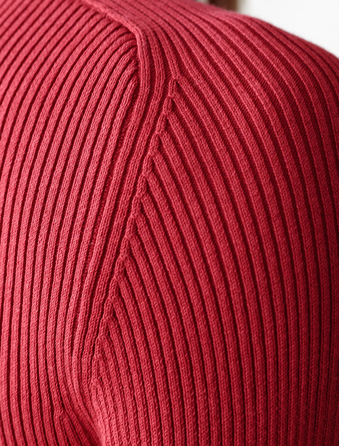 Водолазка тонкой вязки в рубчик из хлопка с нейлоном D34.198 темно-красный