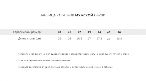 Кроссовки Nike Lebron XIX Low
